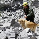 A través de un ejercicio práctico, pusieron a prueba los conocimientos adquiridos por los canes.