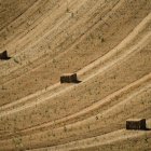 Bloques de paca de paja aparecen en una finca búlgara de trigo.