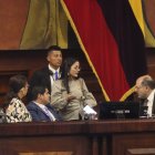 La sesión 963 de la Asamblea fue suspendida por Henry Kronfle.