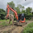 Un criadero de cocodrilos confirmó este martes que ha tenido que sacrificar a 125 de estos reptiles ante el temor de que se escaparan después de que las inundaciones erosionaron un muro del recinto.