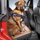 Así estarían protegidos con los nuevos modelos de arnés patentados