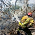 El incendio se registró en el sur de la ciudad.