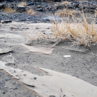 La falta de lluvias, es decir la severa sequía que afronta el país, ha mermado la reserva de agua de los sembríos de las fincas.