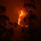 El Gobierno Nacional detalló que la información será recibida a través de la línea 131.