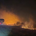 Daño. Se investiga el origen del incendio que causó daños en vegetación.