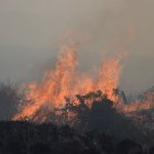 Las llamas avanzan destruyendo todo a su paso. Ayer afectó al bosque de pinos en las faldas del volcán Cotopaxi.