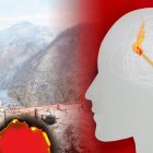 Múltiples incendios forestales han sido ocasionados por seres humanos.