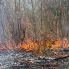 Incendios suelen ser provocados por personas denominadas pirómanas