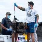 Dos científicos examinando un ave en las Islas Galápagos (Ecuador).