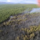 Más de 300 hectáreas se vieron afectadas en el incendio forestal de Pansache.