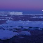 Deshielo en el Océano Antártico. Fotografía facilitada por Jiuxin Shi.
