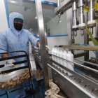 Según el BCE, la inversión empresarial cayó un 8,2%.