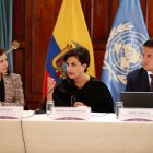 Proceso.La diplomacia ecuatoriana se reunió con delegados de la ONU para analizar los daños de los incendios en Ecuador