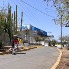 Especies. La especie euphobiasea, que hay en Guayaquil, que se caracteriza por un verde pálido, no es cactus; es una especie introducida que se ve en varias partes de Los Ceibos.