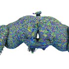 - Imagen del conectoma completo de la mosca de la fruta. El cerebro es una red de neuronas interconectadas. Un equipo de científicos ha trazado el mapa de las 139.255 neuronas y 54,5 millones de conexiones de la mosca de la fruta adulta, una especie de Google Maps para cerebros con grandes implicaciones en la investigación neurocientífica. "Muchos de ustedes se preguntarán por qué debería interesarnos el cerebro de la mosca de la fruta. Mi respuesta es sencilla: si podemos entender realmente cómo funciona cualquier cerebro, eso nos dirá algo sobre todos los cerebros", dijo en una rueda de prensa virtual Sebastian Seung, de la Universidad de Princeton (EE.UU.). EFE/ Tyler Sloan / Flywire / Princeton University SÓLO USO EDITORIAL/SÓLO DISPONIBLE PARA ILUSTRAR LA NOTICIA QUE ACOMPAÑA (CRÉDITO OBLIGATORIO)