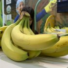 Fruta. Bananas de Ecuador en la feria Fruit Attraction 2024, este martes en IFEMA, Madrid. Ecuador y Perú son los dos países latinoamericanos que más han incrementado su presencia en la feria hortofrutícola Fruit Attraction que se ha inaugurado este martes en Madrid con expositores repletos de bananas y aguacates. EFE/ Patricia Cotelo Bertaiola