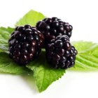 Aprende los beneficios de incluirlas en tu dieta diaria y protege tu piel de los signos de envejecimiento