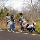 Solo durante una jornada de limpieza masiva en septiembre se recolectó 1.8 toneladas de residuos en Galápagos.