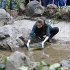 Las Cuadras. En el parque del sur se reintrodujo 267 ‘uilli uillis’.