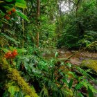 El país tiene la opción de volver rentable sus recursos naturales.