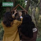 Programa. Los estudiantes hacen hoteles para las especies amenazadas.