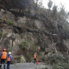 Los árboles en la zona estaban a punto de caer.
