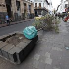El lunes se retiró árboles más pequeños como arrayanes y eugenias.