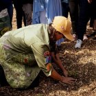 La Fundación ha trabajado en más de 15 poblaciones sembrando árboles nativos.