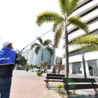 Las autoridades le están dando mantenimiento a las áreas verdes