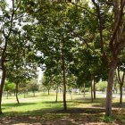 La medida es tomada para precautelar la seguridad de la ciudadanía.