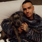 Liam Payne tenía 31 años. Murió en Argentina.