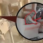 Hamás advirtió a Israel que la muerte de Yahya Sinwar no pondrá fin a su movimiento ni a la lucha del pueblo palestino.