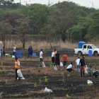 Una siembra se realizó en los últimos días en el área.
