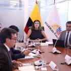 Comisión. La gobiernista Valentina Centeno preside la mesa de Desarrollo Económico de la Asamblea.