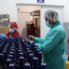 El proyecto de vino de mortiño es de sustento comunitario en Quinticusig.