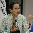 Inés Manzano, ministra de Energía y Minas.