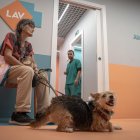La primera clínica veterinaria social de Italia ha abierto sus puertas en Roma, con el objetivo de atender de forma totalmente gratuita a las mascotas de las personas más vulnerables.