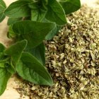 Estudios afirman que el orégano posee beneficios para nuestra salud.