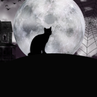 Agenda de actividades en Quito.