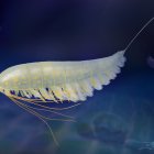 Reconstrucción de la vida de Lomankus edgecombei.