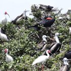 El Morro es el escenario de un avistamiento de aves migratorias. Cada año se suman más. 

AG- EXTERNO
