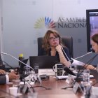 Zolanda Plúas preside la Comisión de Educación.