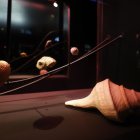 Fotografía donde se observan caracolas de la exposición "Mollusca. Poesía de Caracolas. Sumergirse en la Colección Neruda", en Santiago de Chile.
