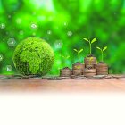 Ecología. Una foto referencial de cómo el mercado del carbono puede generar dinero.