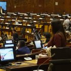 Sesión. Garzón dio a conocer cómo será el trabajo, los plazos y los convocados a la Comisión ocasional.