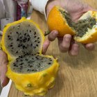 Fruta.- Pitaya amarilla (más conocida como frutadel dragón) y granadilla de Ecuador en la feria Fruit Attraction 2024, este martes en IFEMA, Madrid. Ecuador y Perú son los dos países latinoamericanos que más han incrementado su presencia en la feria hortofrutícola Fruit Attraction que se ha inaugurado este martes en Madrid con expositores repletos de bananas y aguacates. EFE/ Patricia Cotelo Bertaiola