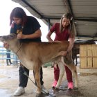 Estudios. Universitarios trabajan en proyectos de sostenibilidad y seguridad animal en haciendas protegidas.