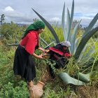 La bebida ancestral de los salasakas se convirtió en un festival