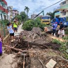 Varias personas caminan junto a un árbol caído en una calle tras el paso del huracán Rafael, este jueves en La Habana (Cuba).