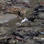 Efecto. La contaminación que ha provocado el petróleo en Perú.